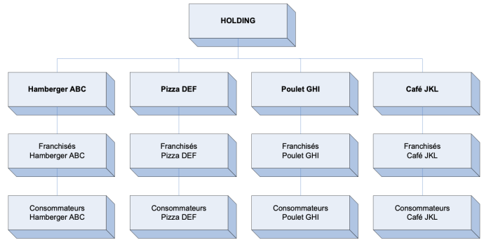 Les franchises multi-concepts et les multi-franchises sont-elles des ph&eacute;nom&egrave;nes nouveaux ?